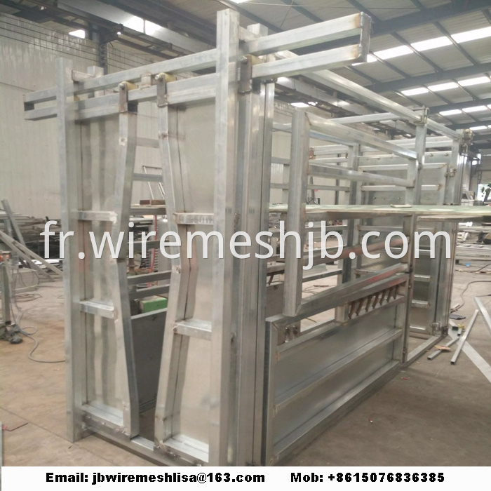 Heavy Duty Hot Dipped Galvanized Cattle Crush